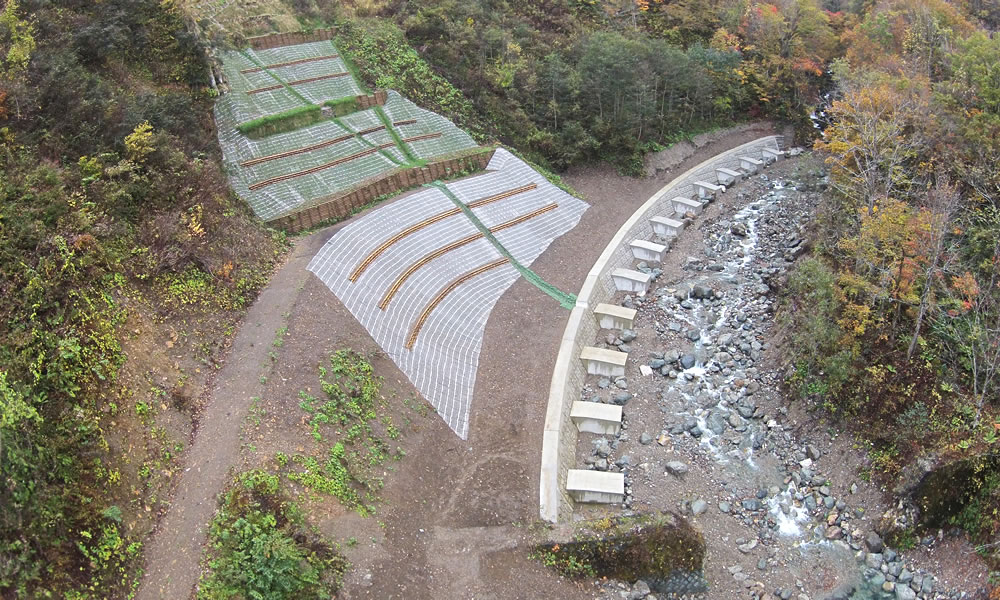 平成30年2月 林野庁長官表彰